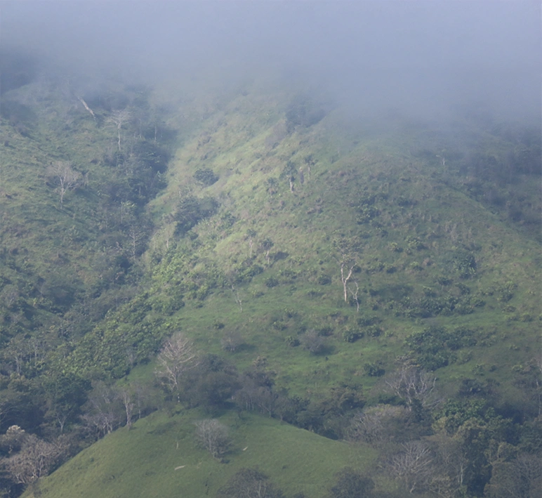 Chepigana - Imagen 3