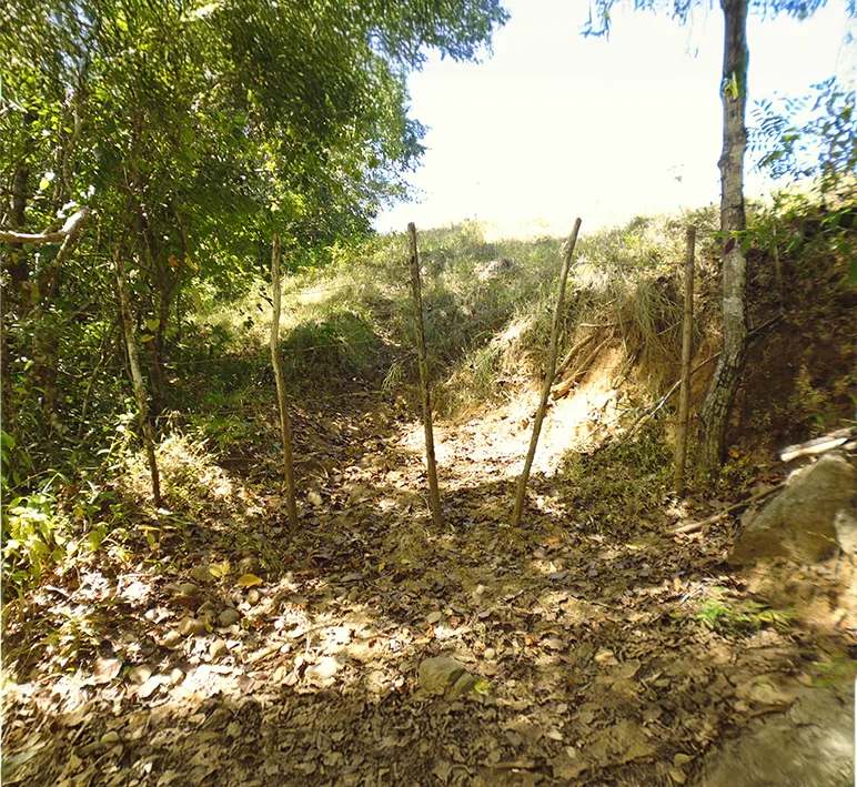 Las Tablas - Imagen 2