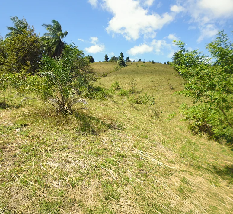 Las Tablas - Imagen 4