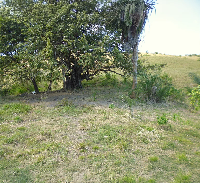 Las Tablas - Imagen 5
