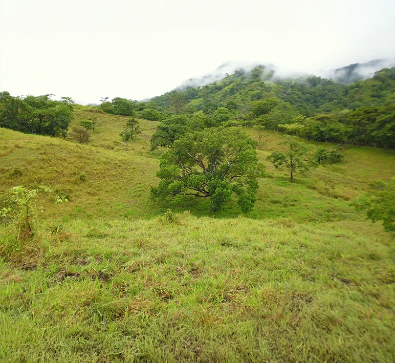 Tonosí