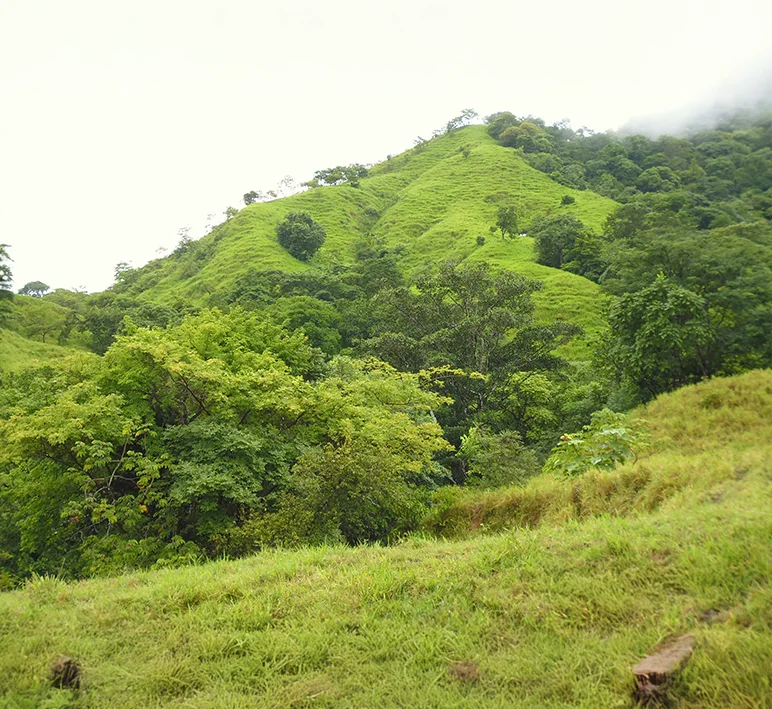 Tonosí - Imagen 3