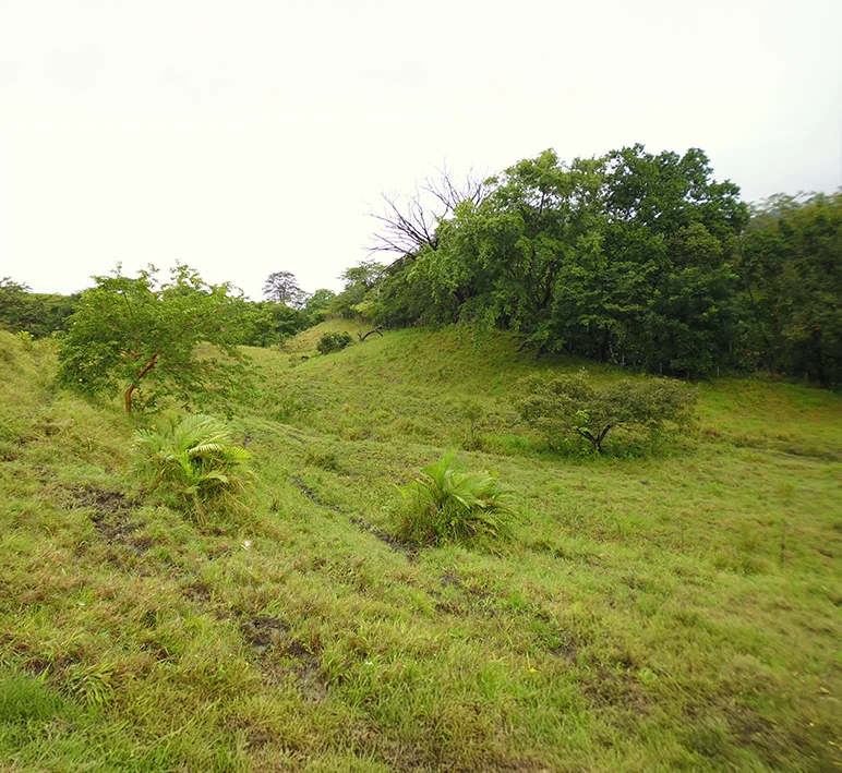 Tonosí - Imagen 2