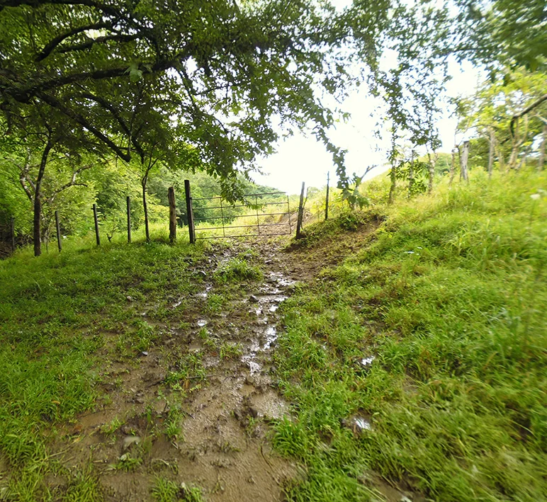 Tonosí