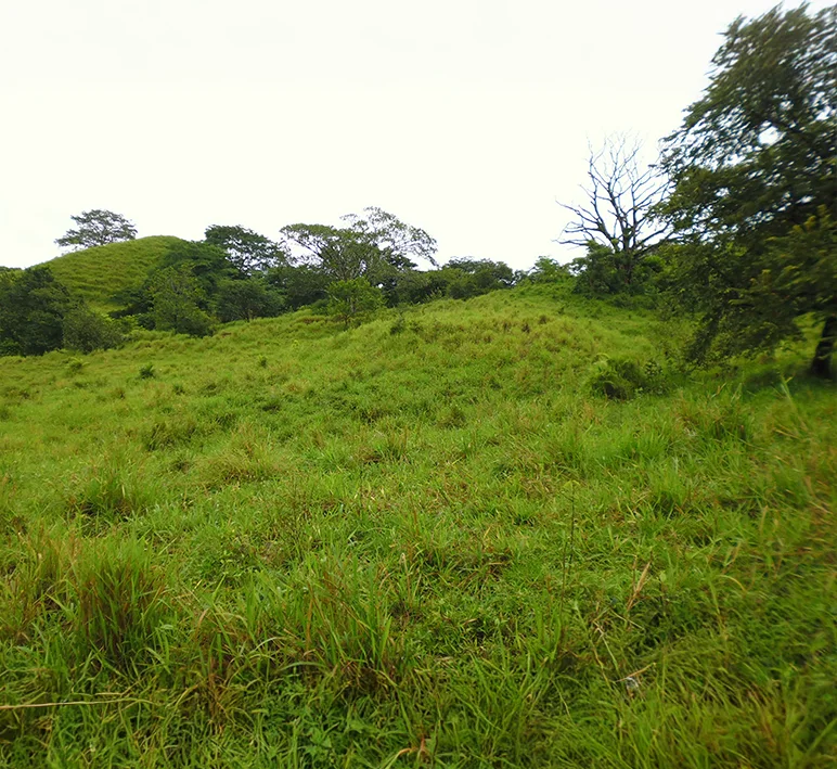 Tonosí - Imagen 4
