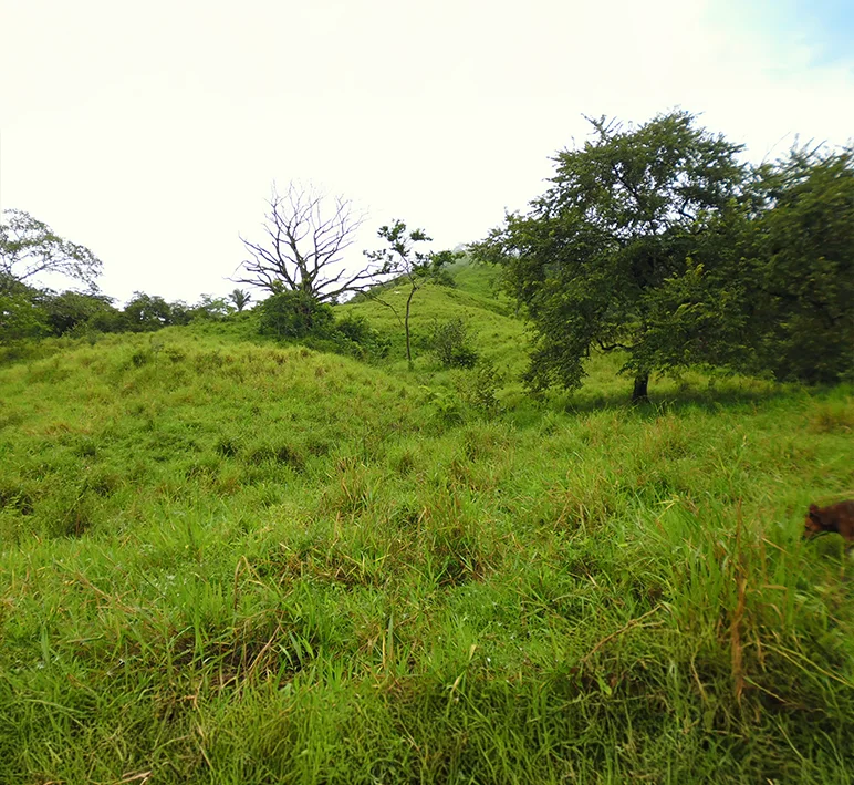 Tonosí - Imagen 6