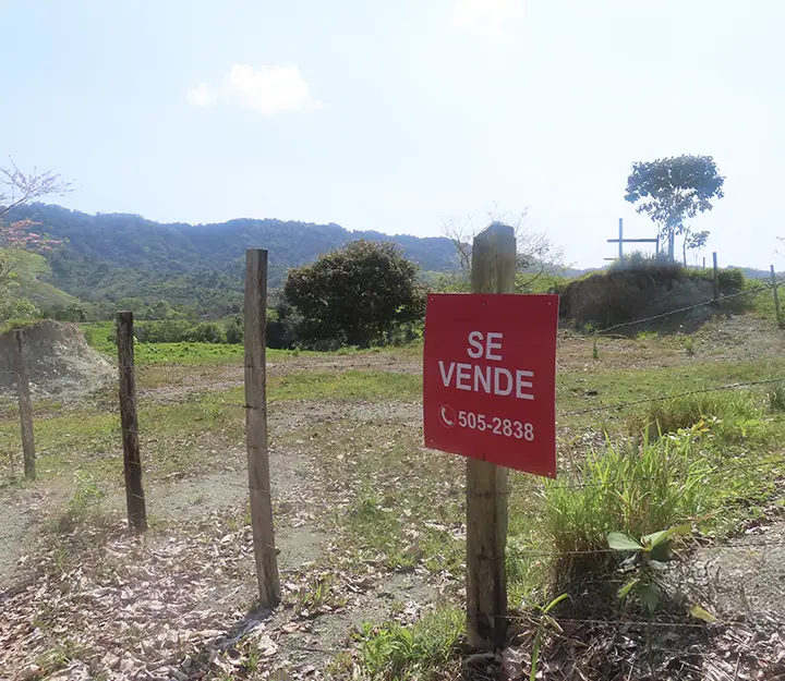 Bajo Bonito - Imagen 2