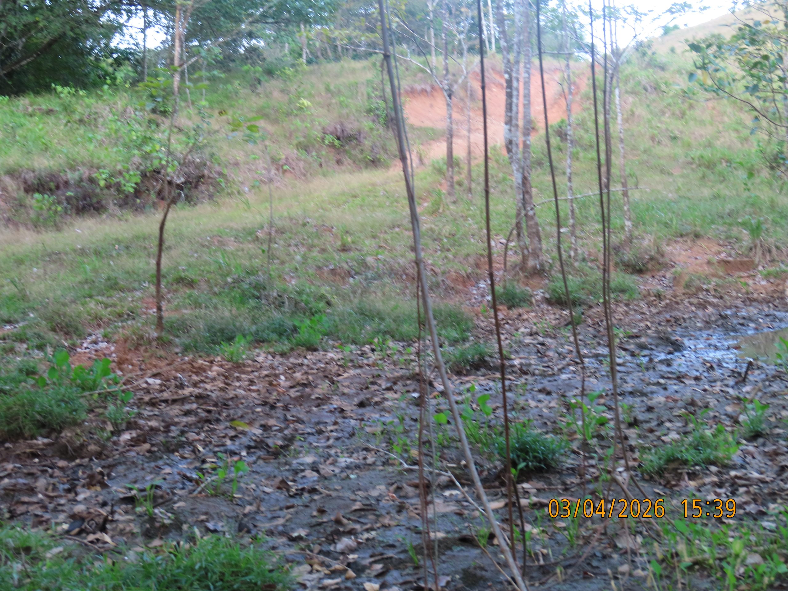 Río Congo Arriba - Imagen 5
