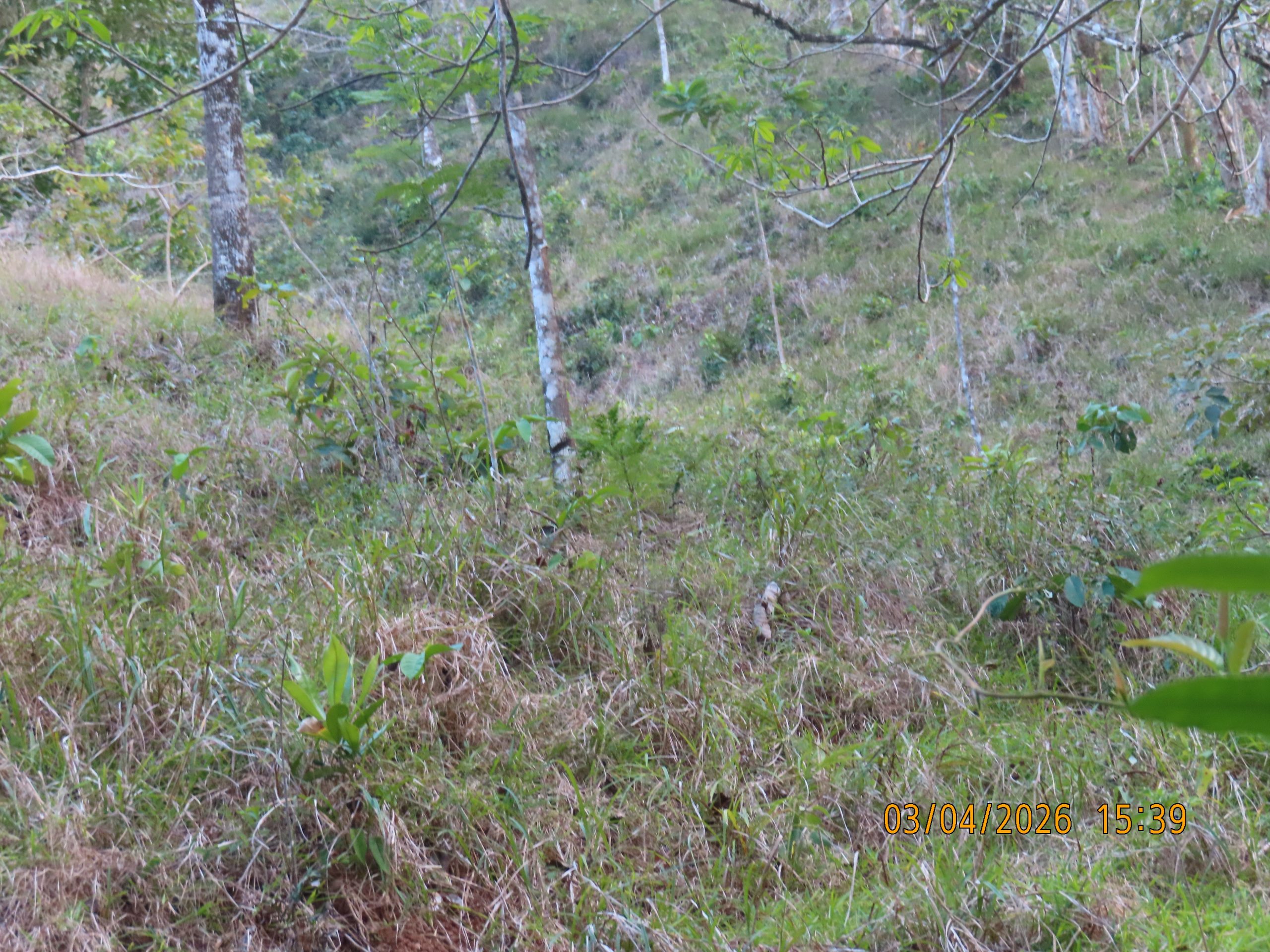 Río Congo Arriba - Imagen 7