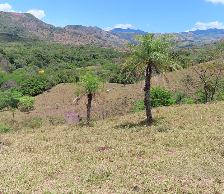 Gualaca - Imagen 2