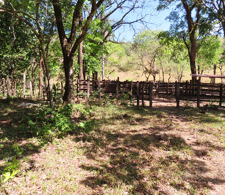 Gualaca - Imagen 4