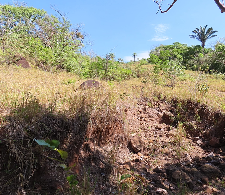 Gualaca - Imagen 3