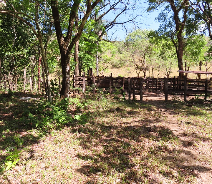 Gualaca