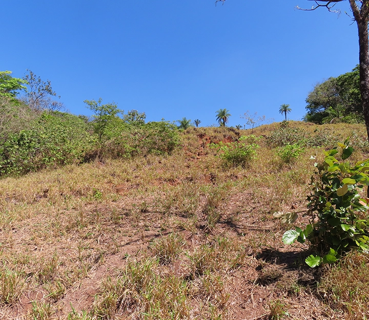 Gualaca - Imagen 5