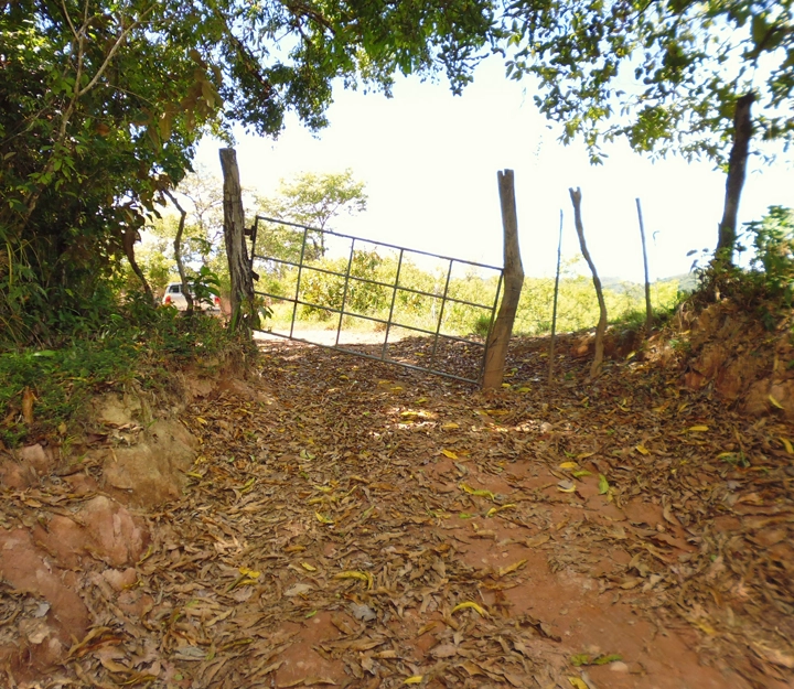 LAS PALMAS - Imagen 6