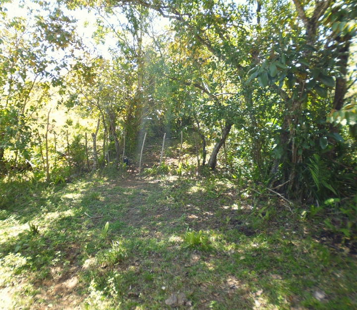 Soná - Imagen 2